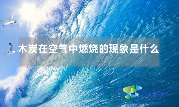 木炭在空氣中燃燒的現(xiàn)象是什么