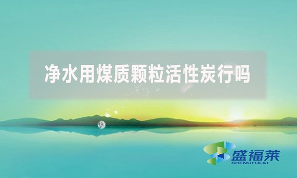 凈水用煤質(zhì)顆?；钚蕴啃袉幔?></div>
</a>
</li>
 
<li id=